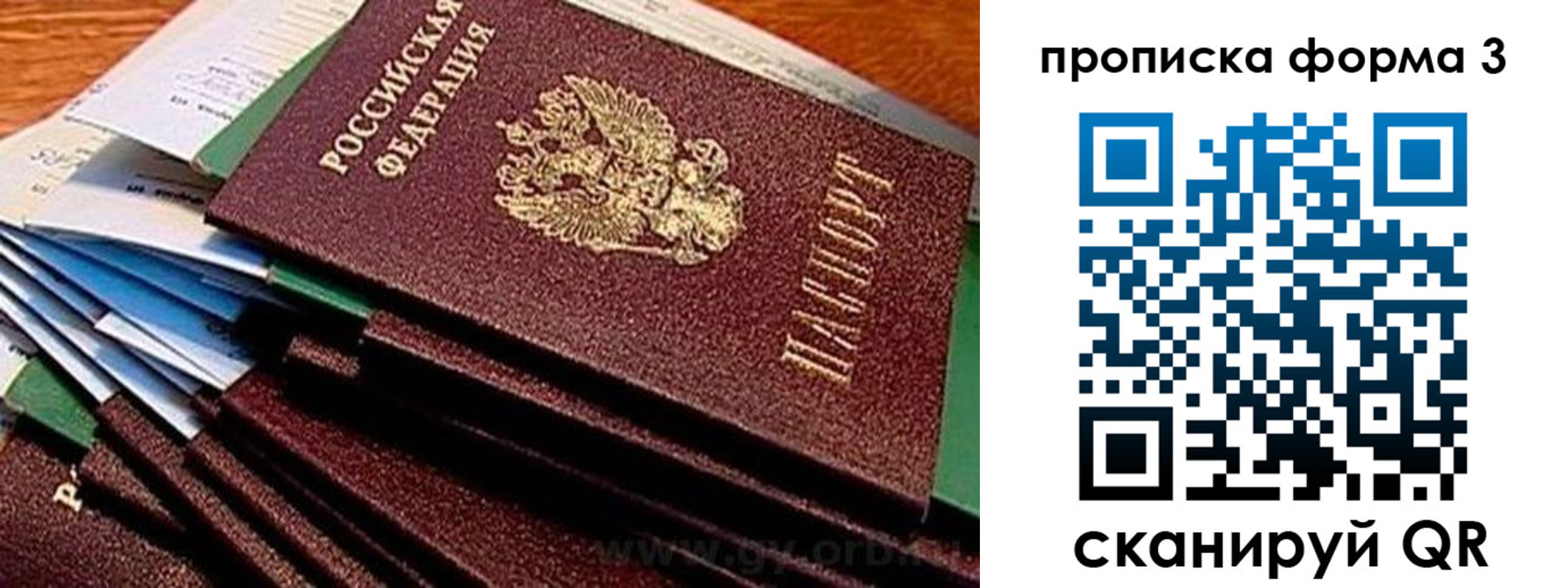 прописка иностранных граждан в Тимашёвске